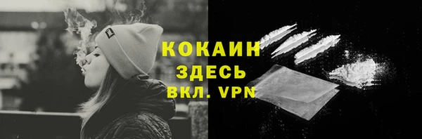 гашик Карпинск