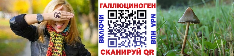 Псилоцибиновые грибы мицелий  как найти закладки  Гаврилов Посад 
